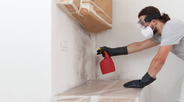Professional Bathroom Mold Removal technician working in Cairnbrook, PA